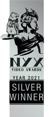 NYX-Video-Silver